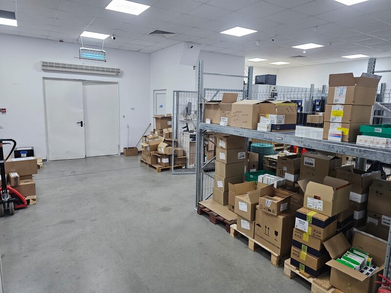 Theodor Pallady, Ozana,