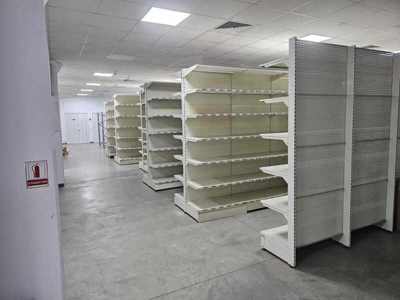 Theodor Pallady, Ozana,