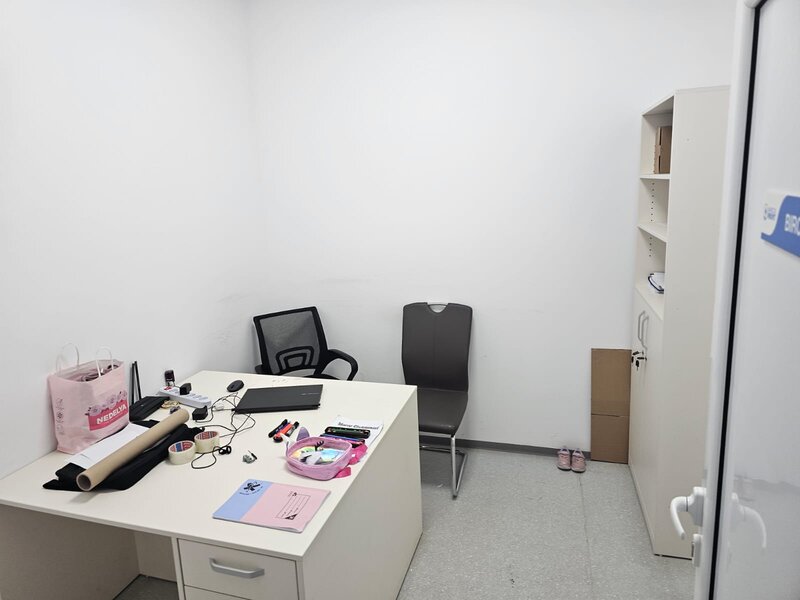 Theodor Pallady, Ozana,