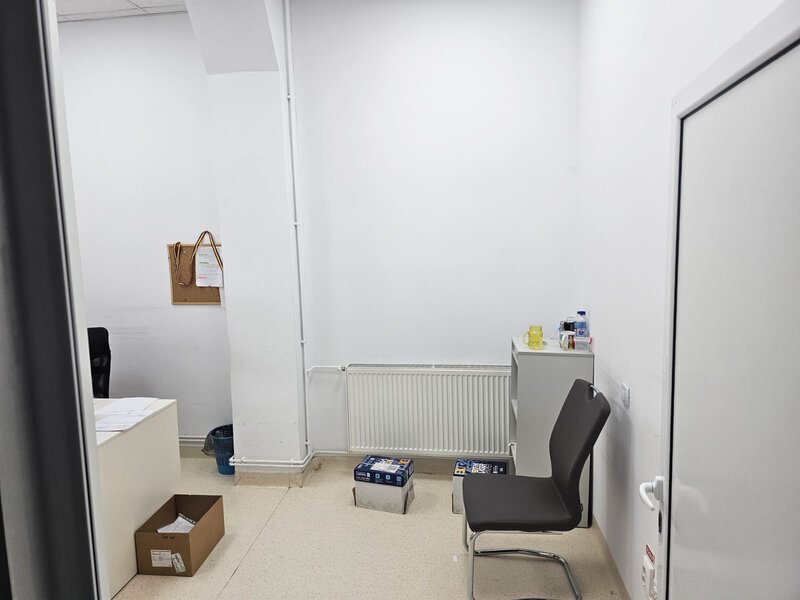 Theodor Pallady, Ozana,