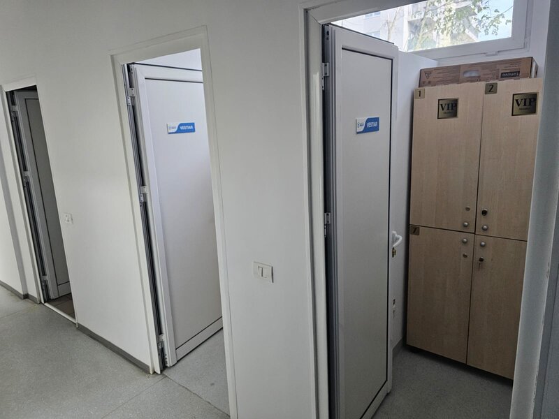 Theodor Pallady, Ozana,