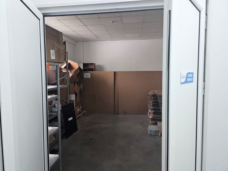 Theodor Pallady, Ozana,