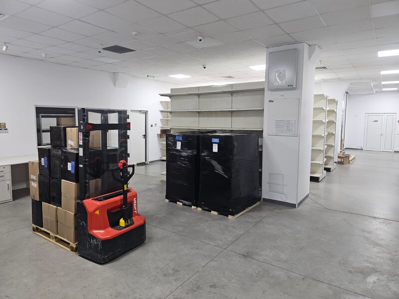 Theodor Pallady, Ozana,