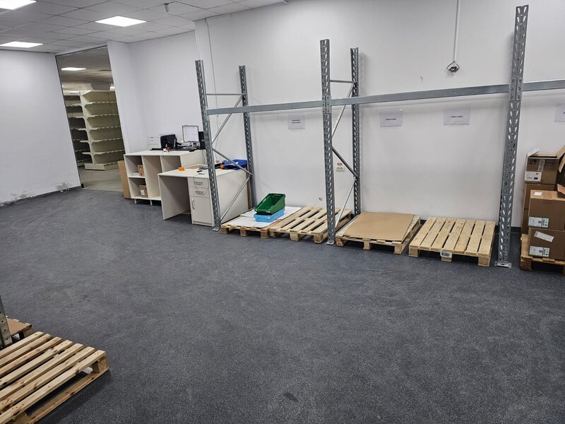 Theodor Pallady, Ozana,