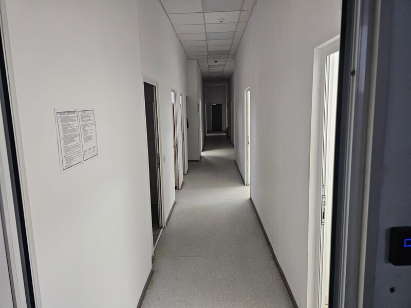 Theodor Pallady, Ozana,