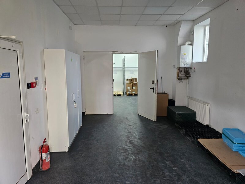 Theodor Pallady, Ozana,