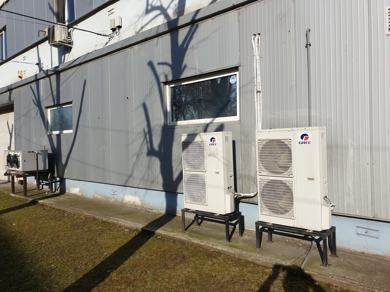 Theodor Pallady, Ozana,