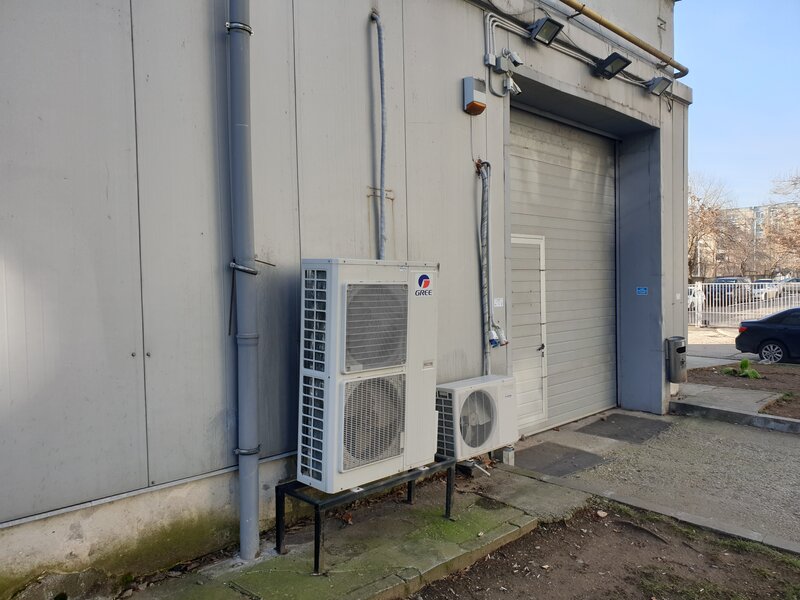 Theodor Pallady, Ozana,