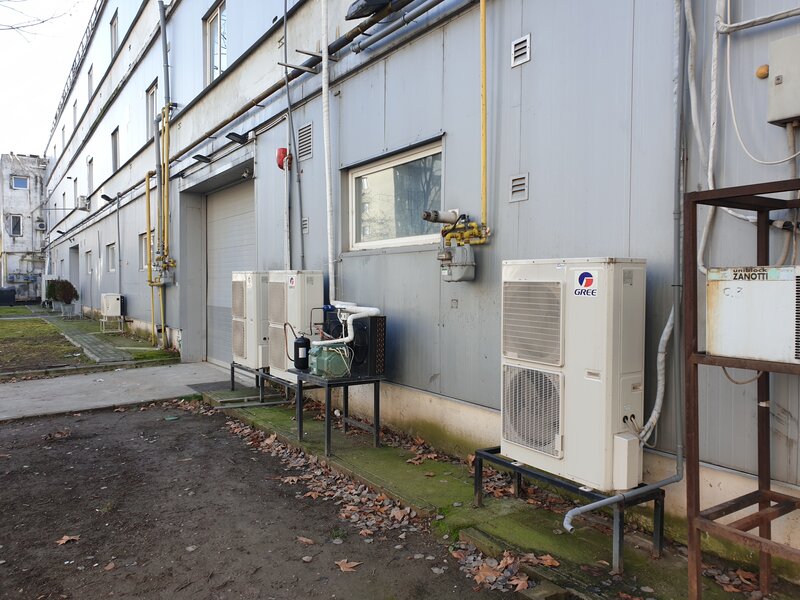 Theodor Pallady, Ozana,