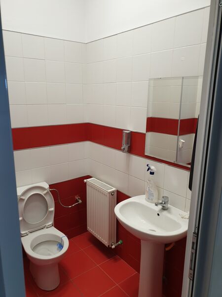 Theodor Pallady, Ozana,