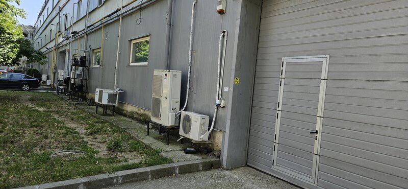 Theodor Pallady, Ozana,