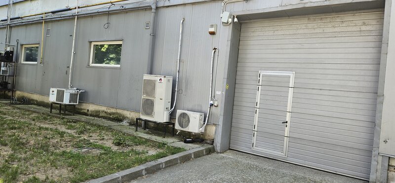 Theodor Pallady, Ozana,